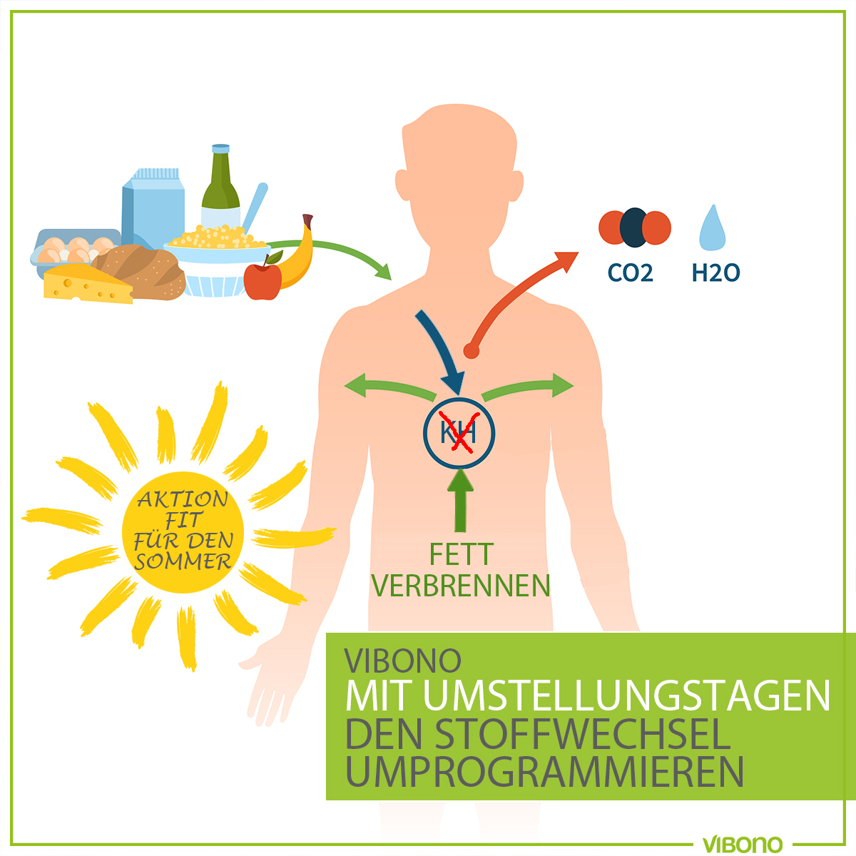 Fett verbrennen statt Fett speichern!