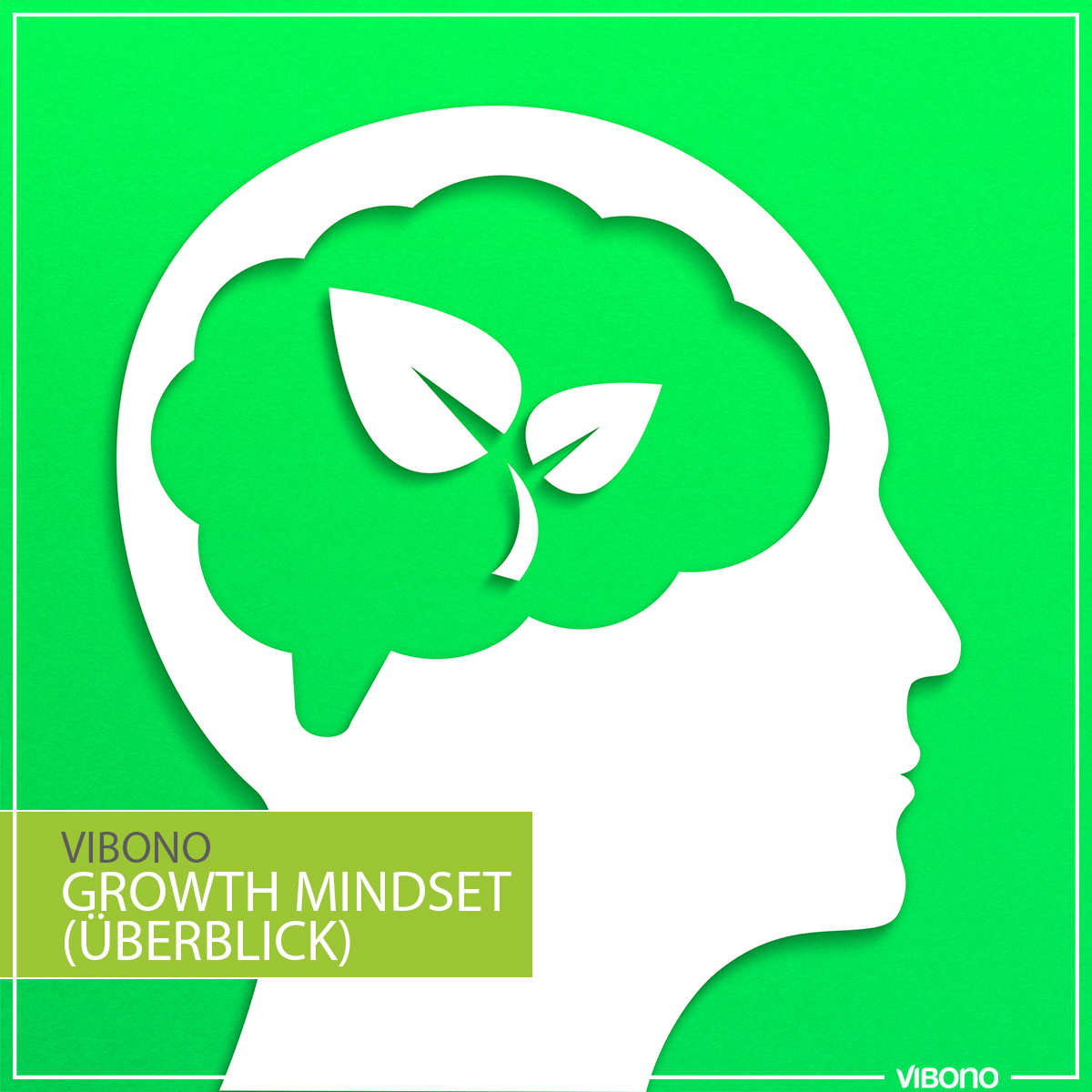 Growth Mindset (Überblick)